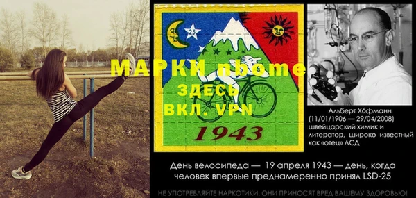 крисы Армянск